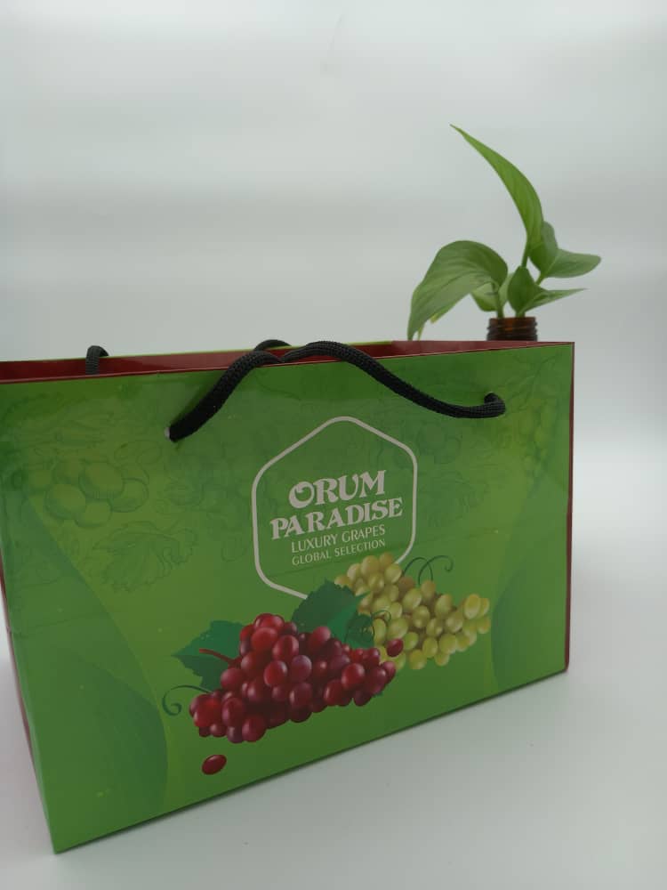 ساک دستی جنس گلاسه برای انگور