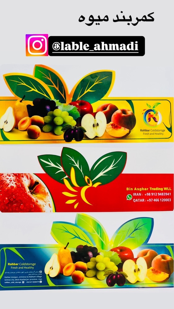 روسبدی میوه